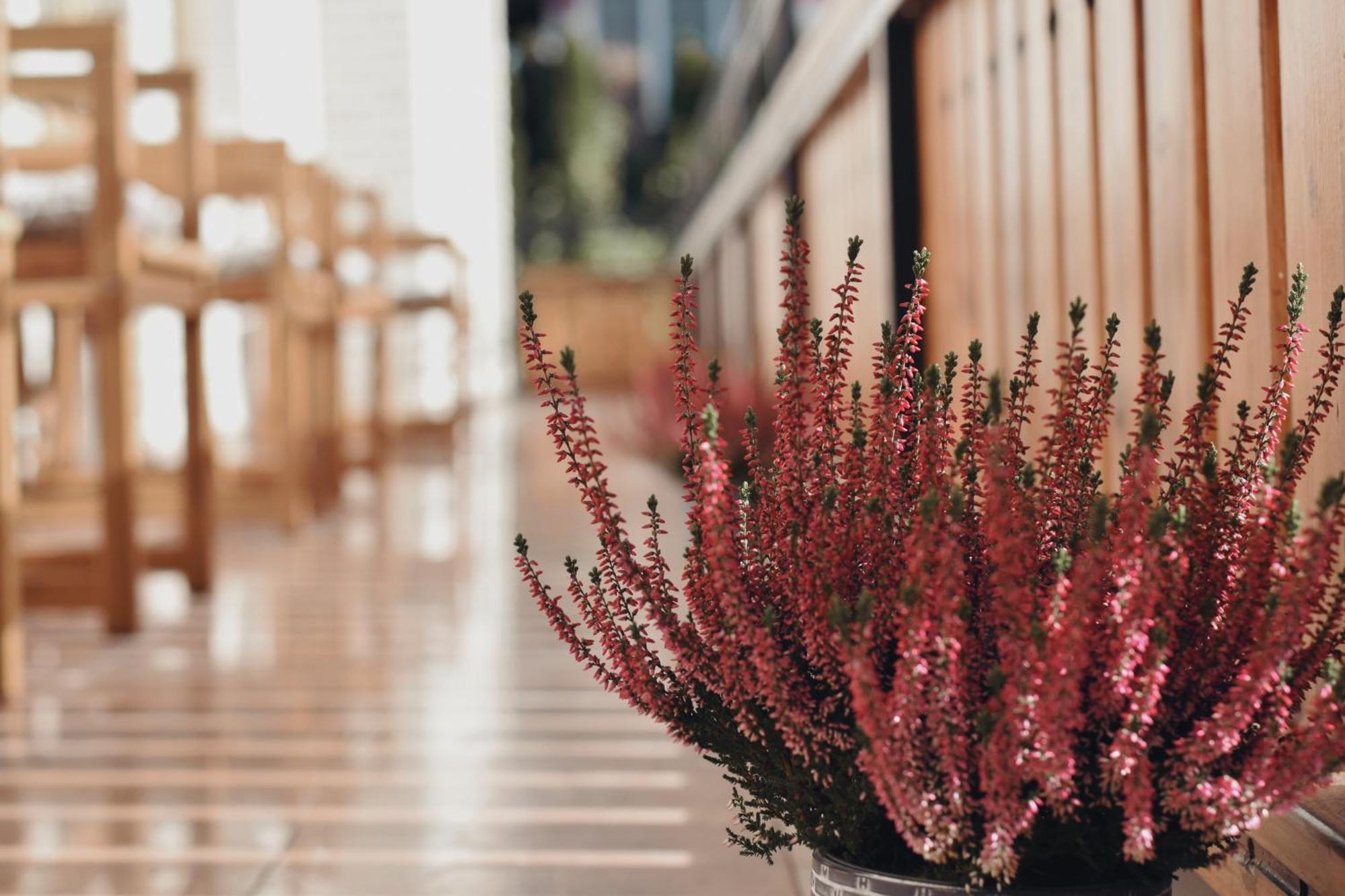 Rooms And Apartments Panker مورفسكه تيبليتسه المظهر الخارجي الصورة