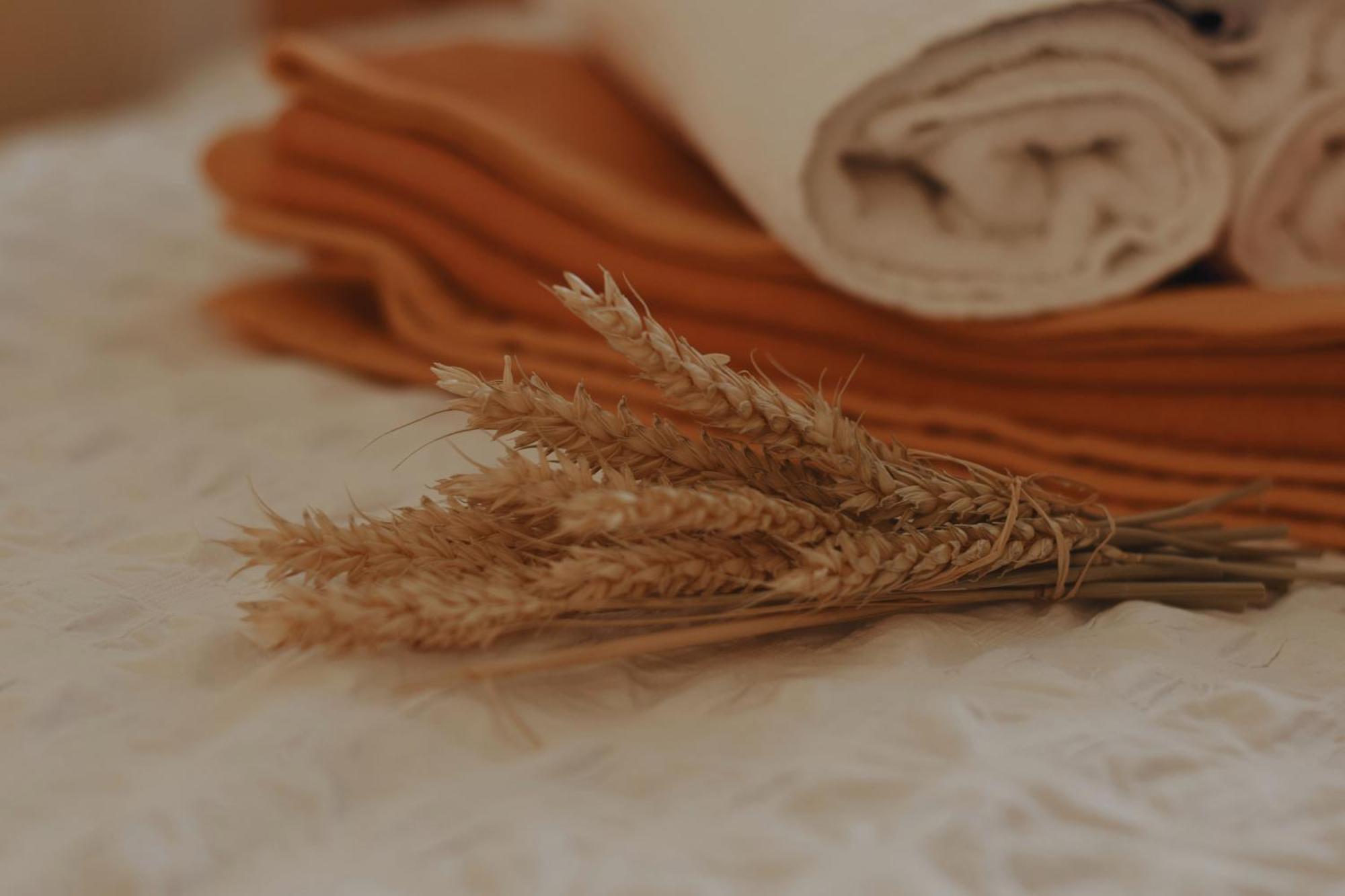 Rooms And Apartments Panker مورفسكه تيبليتسه المظهر الخارجي الصورة